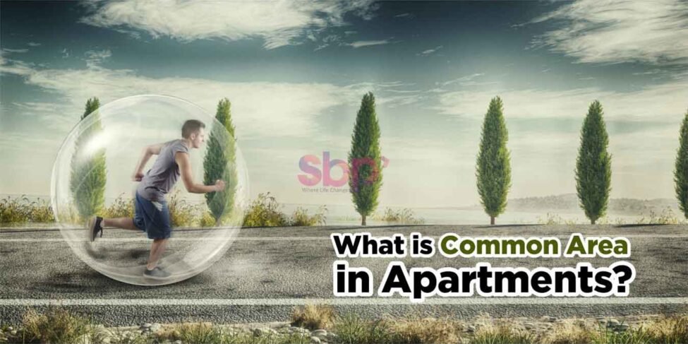 What is the Common Area in Apartments
