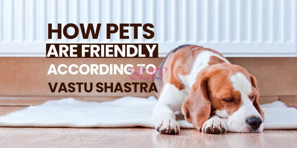 How Pets Are Friendly According To Vastu Shastra