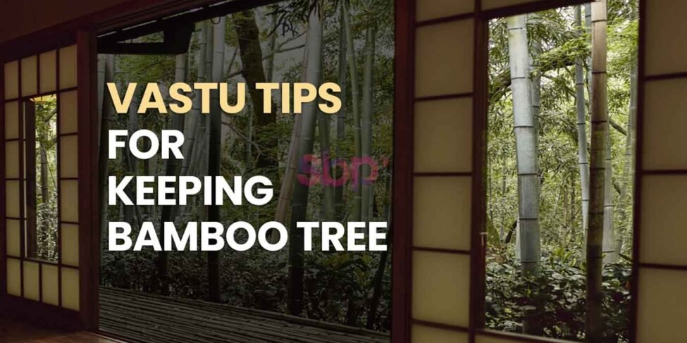 Vastu Tips for Keeping Bamboo Tree
