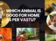 Which Animal Is Good For Home As Per Vastu?