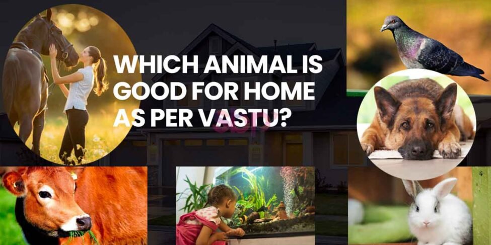 Which Animal Is Good For Home As Per Vastu?