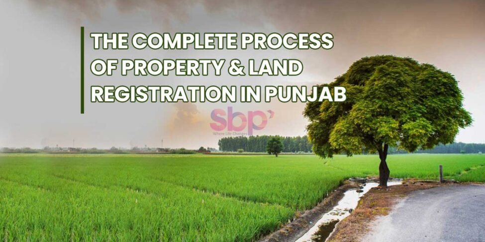 Real Estate Developers Chandigarh