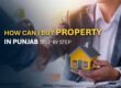 Buy Property in Punjab